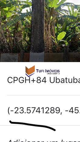 Terreno, 2 hectares - Foto 4