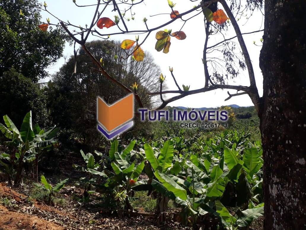Sítio à venda com 2 quartos, 120m² - Foto 19