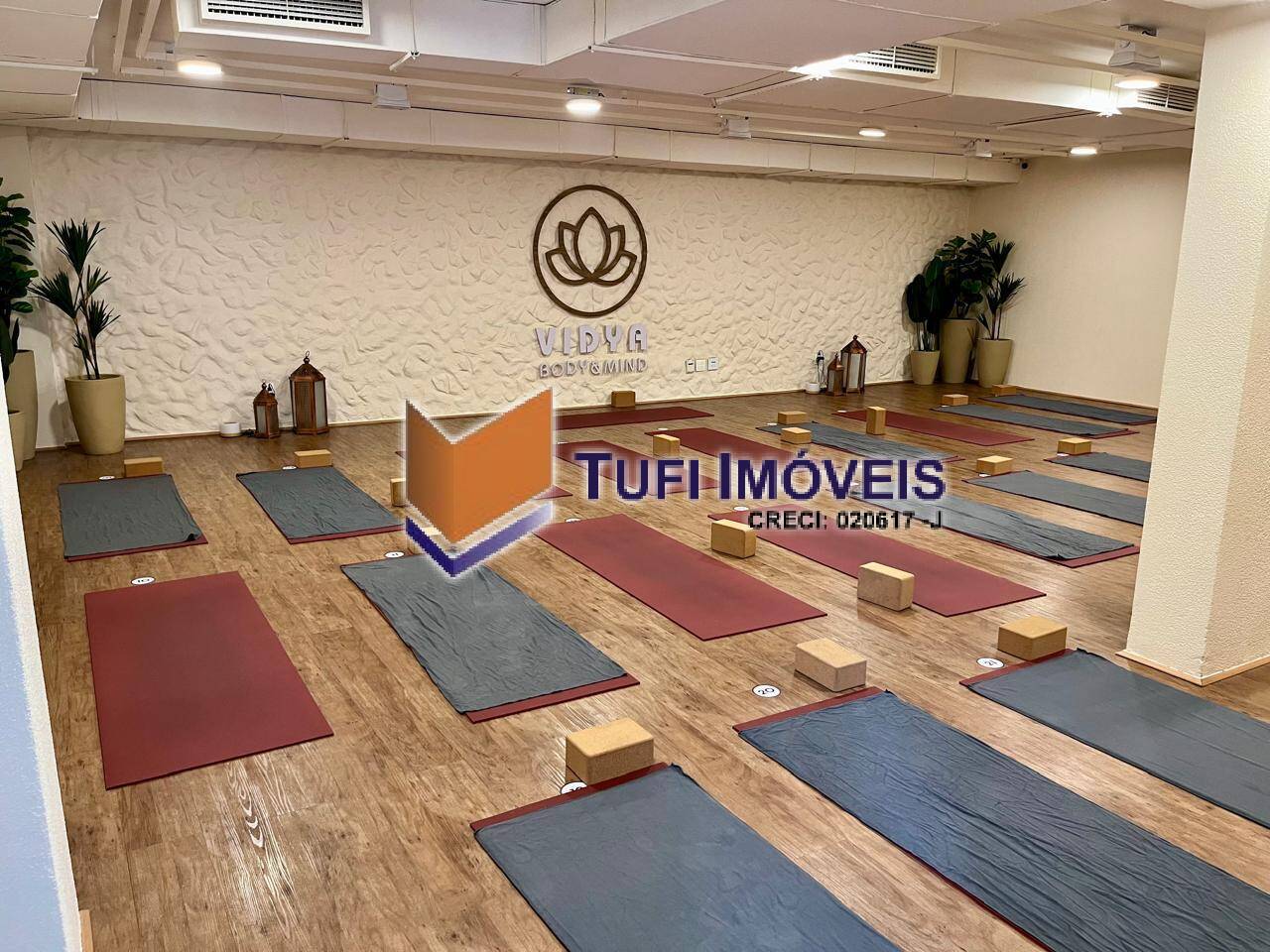 Sala-Conjunto, 450 m² - Foto 10